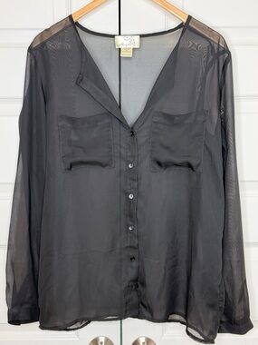 Sheer Button-Front Long-Sleeve Blouse - Black